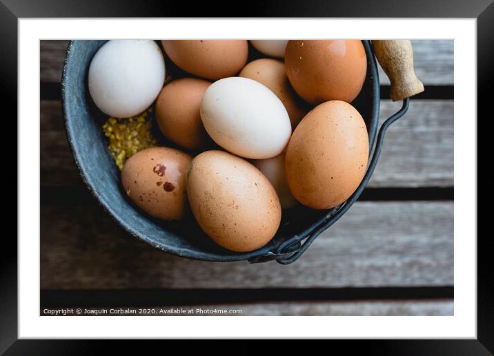 Bucket full of white and brown chicken eggs. Framed Mounted Print by Joaquin Corbalan