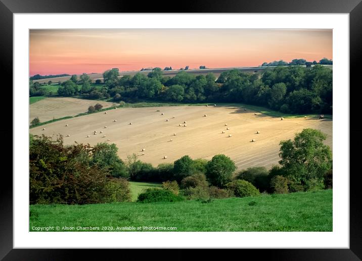 Hay Bales At Condicote Framed Mounted Print by Alison Chambers
