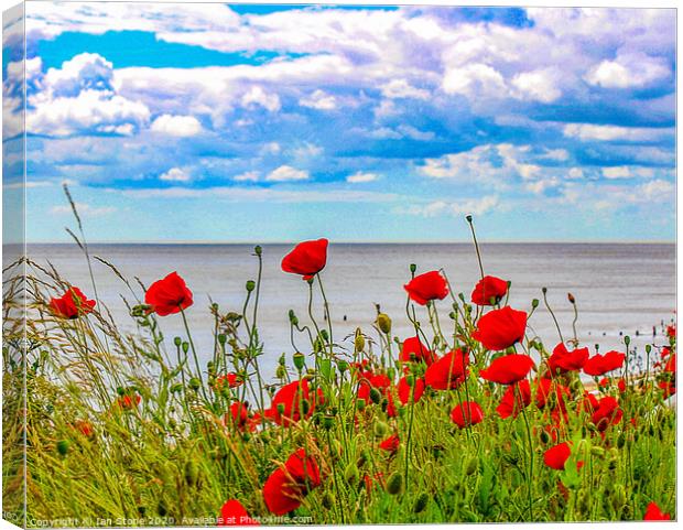 Poppies  Canvas Print by Ian Stone