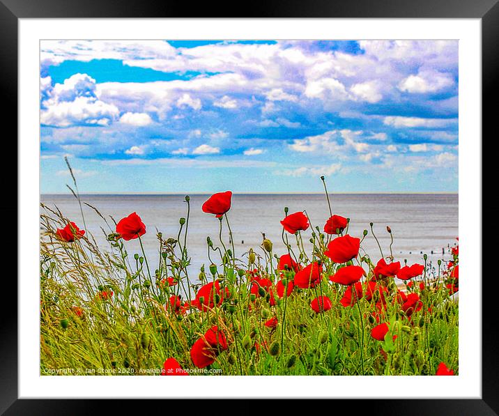 Poppies  Framed Mounted Print by Ian Stone
