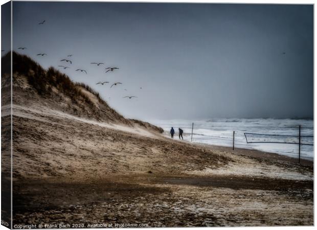 Henne beach in Jutland with benches on a stormy day, Denmark Canvas Print by Frank Bach