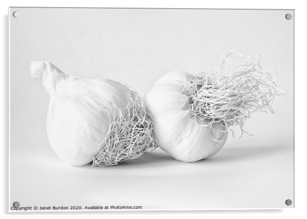 Garlic Acrylic by Janet Burdon