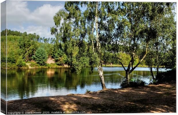 Cannock Chase Lake Canvas Print by Diana Mower