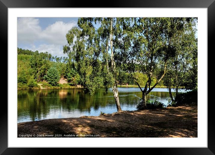 Cannock Chase Lake Framed Mounted Print by Diana Mower
