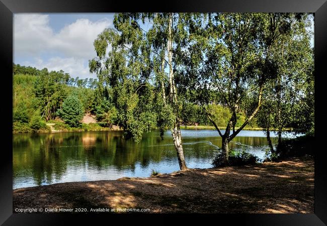 Cannock Chase Lake Framed Print by Diana Mower