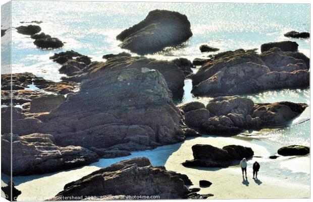 Rendezvous on Looe beach. Canvas Print by Neil Mottershead