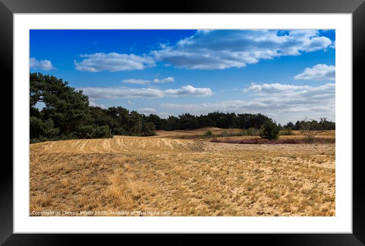 the nature reserve Maasduinen Framed Mounted Print by Chris Willemsen