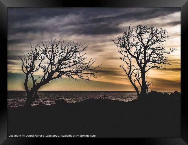 Coastal Sunset Scene at Montevideo City, Uruguay Framed Print by Daniel Ferreira-Leite