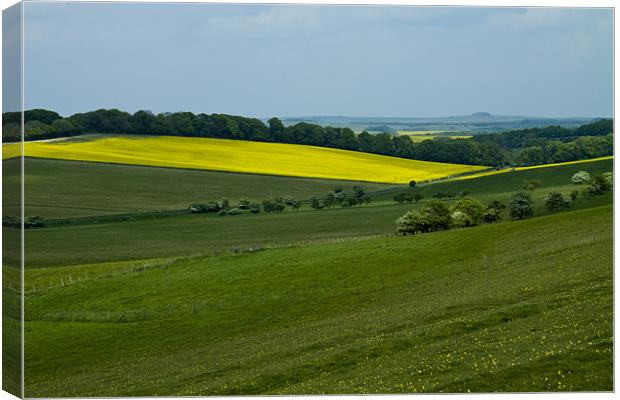 Vale of Pewsey Wiltshire Downs Canvas Print by David French