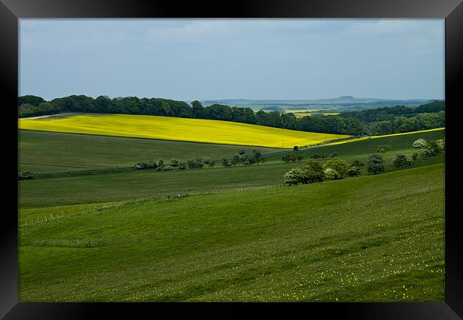 Vale of Pewsey Wiltshire Downs Framed Print by David French