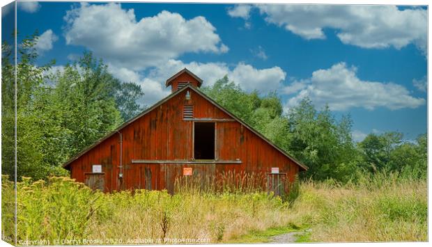 Old Red Barn in the Weeds Canvas Print by Darryl Brooks