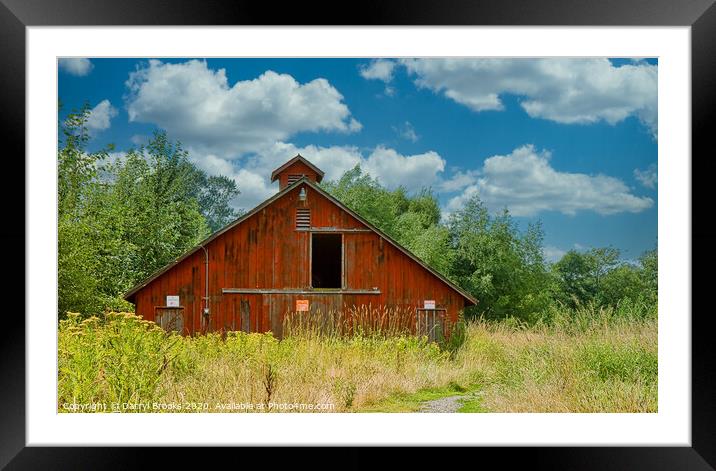 Old Red Barn in the Weeds Framed Mounted Print by Darryl Brooks