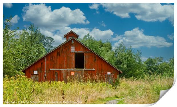Old Red Barn in the Weeds Print by Darryl Brooks