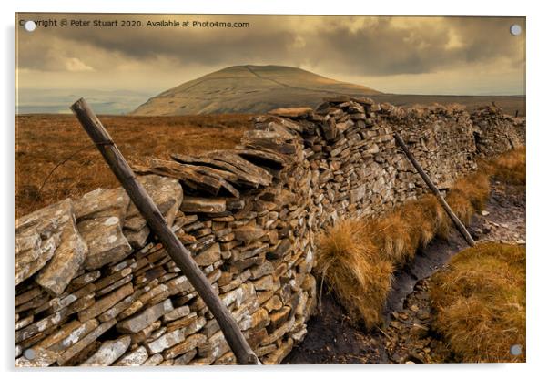 Pen-y-ghent and the Yorkshire 3 Peaks Acrylic by Peter Stuart