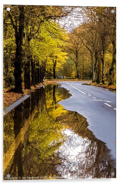 Autumn Reflection  Acrylic by Joy Newbould