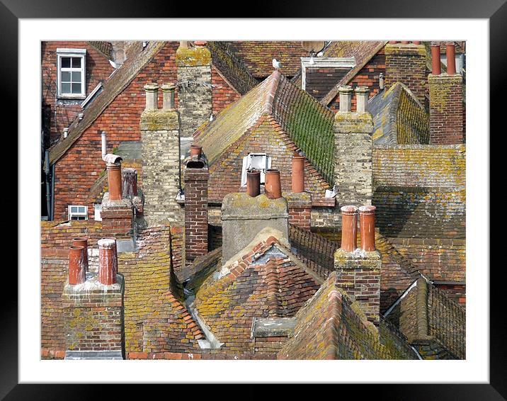 Rooftops Framed Mounted Print by susan potter