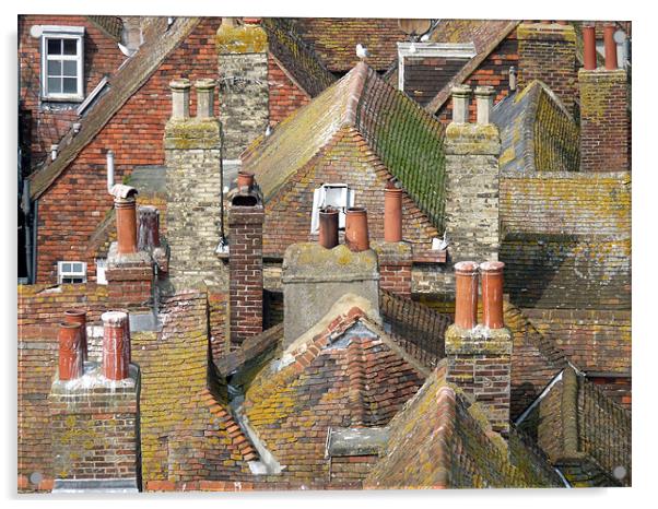 Rooftops Acrylic by susan potter