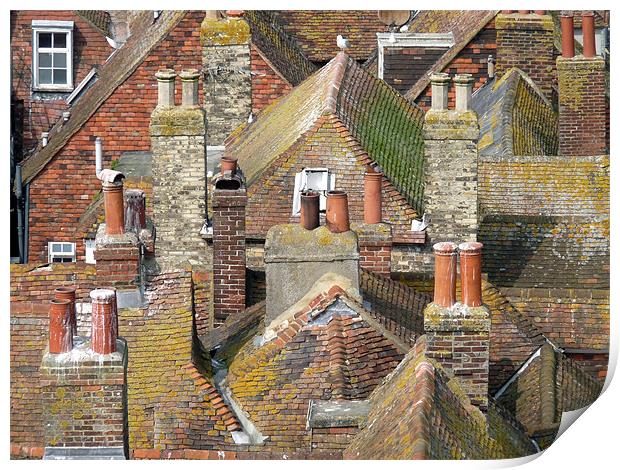 Rooftops Print by susan potter
