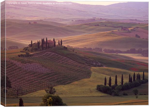 Dawn in the San Quirico d'Orcia, Tuscany, Italy Canvas Print by Navin Mistry