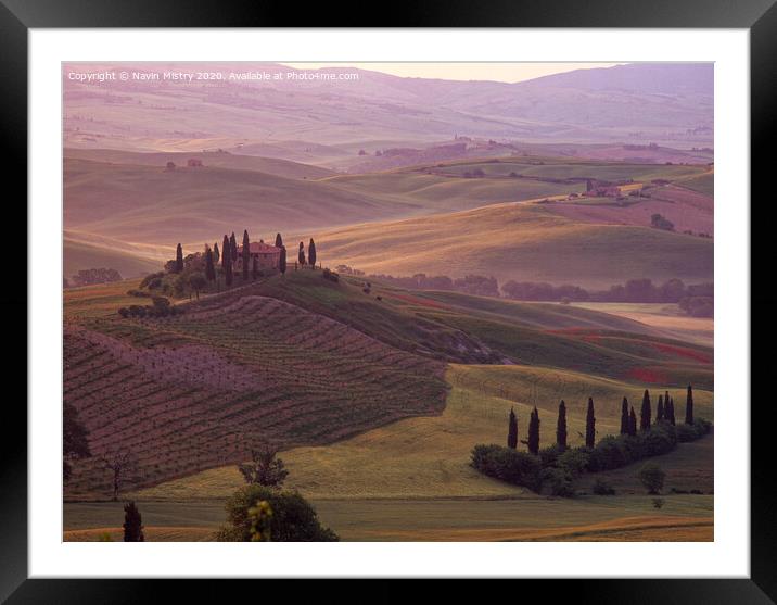 Dawn in the San Quirico d'Orcia, Tuscany, Italy Framed Mounted Print by Navin Mistry