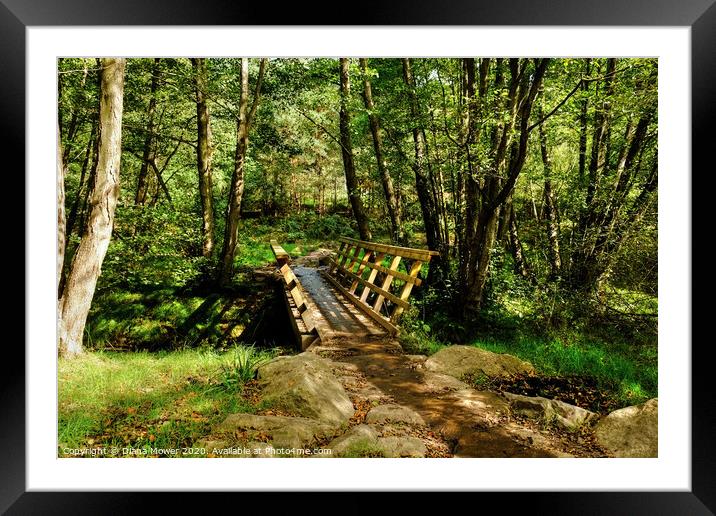 Cannock Chase Cycle Trail Framed Mounted Print by Diana Mower