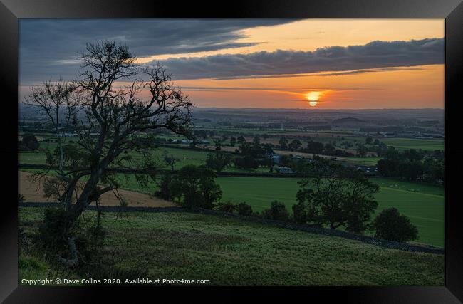 Sunrise in the Scottish Borders, Scotland Framed Print by Dave Collins