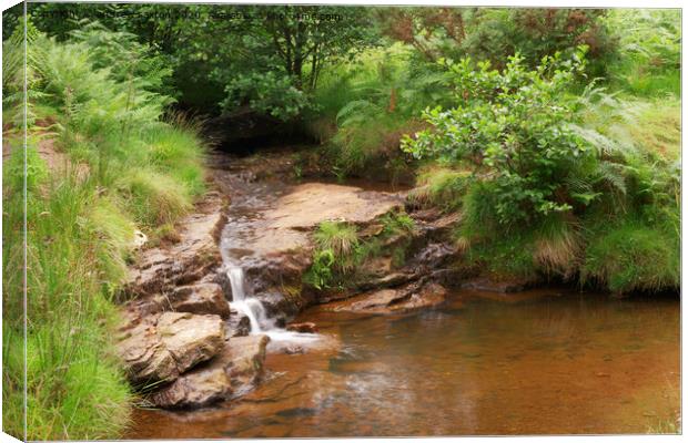 WATERFALL TREE Canvas Print by andrew saxton