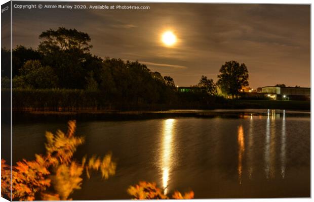 Golden moon over the lake Canvas Print by Aimie Burley
