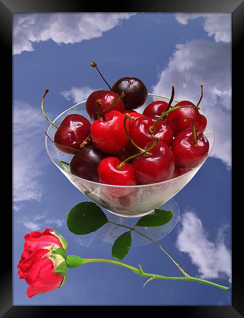 Cherries from Heaven Framed Print by Susie Hawkins