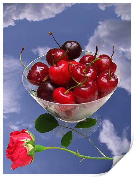 Cherries from Heaven Print by Susie Hawkins