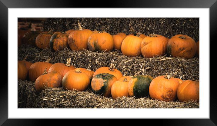 Pumpkins Framed Mounted Print by Angela Aird