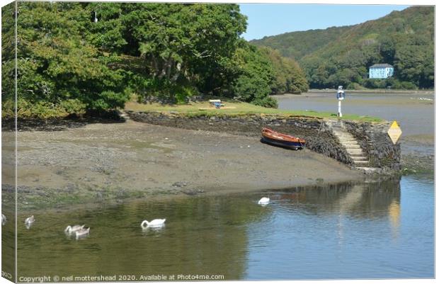 Family Day Out - A bevy of swans on the Looe river Canvas Print by Neil Mottershead