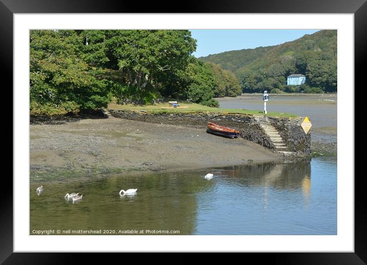 Family Day Out - A bevy of swans on the Looe river Framed Mounted Print by Neil Mottershead