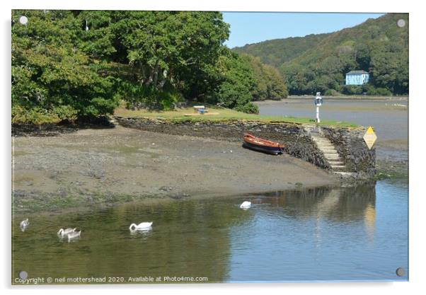 Family Day Out - A bevy of swans on the Looe river Acrylic by Neil Mottershead