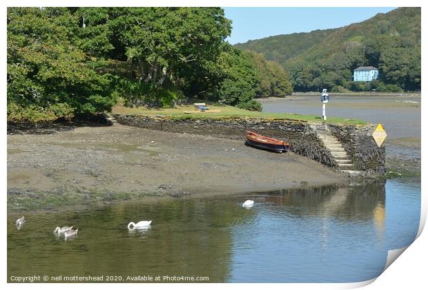 Family Day Out - A bevy of swans on the Looe river Print by Neil Mottershead