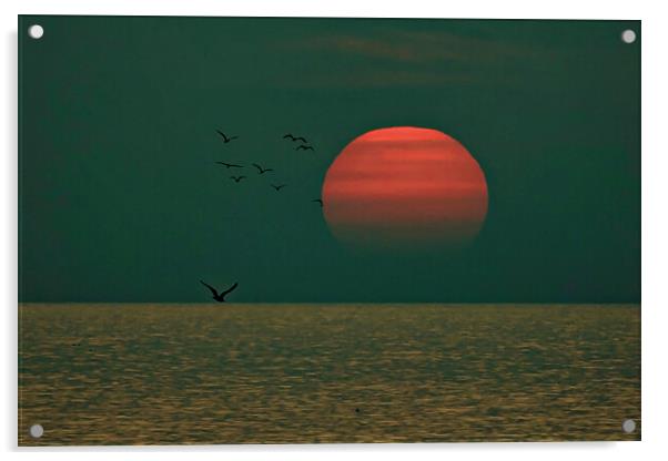 sunset Aberaeron Acrylic by Andrew chittock