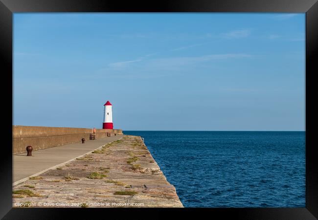 Harbour Entrance Light Tower, Berwick-Upon-Tweed  Framed Print by Dave Collins
