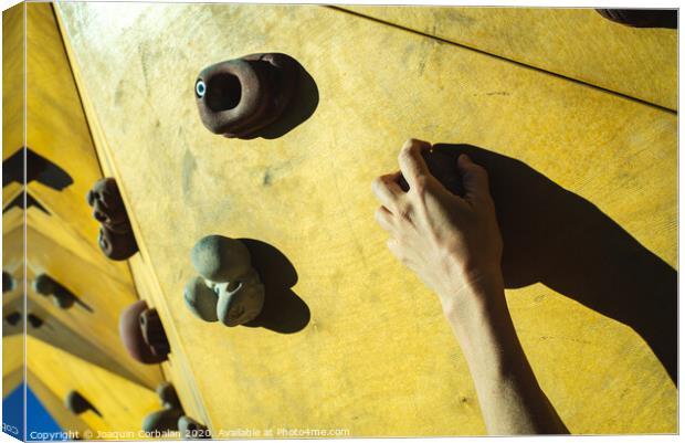 Hand of a person trying to climb the fixie of a climbing wall Canvas Print by Joaquin Corbalan