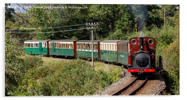 Ffestiniog Railway locomotive Prince rounds Ty Fry curve in Penrhyn Acrylic by David Thurlow