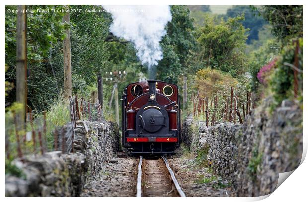 Ffestiniog Railway locomotive Palmerston approaching Print by David Thurlow