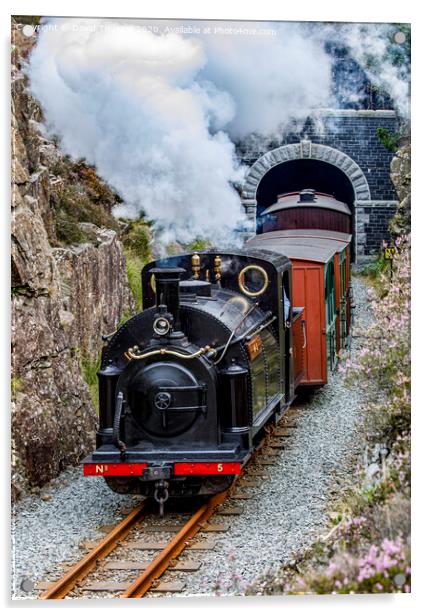 Ffestiniog Railway locomotive, Welsh Pony, exits Moelwyn Tunnel. Acrylic by David Thurlow