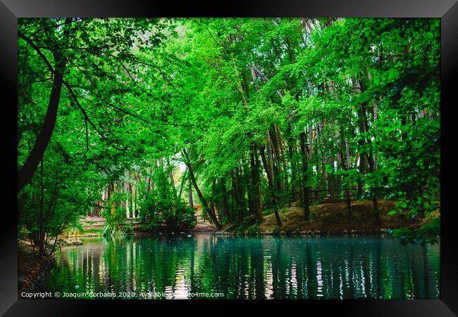 Transparent water of a stream and a lake in the green forest Framed Print by Joaquin Corbalan