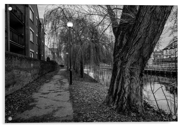 Riverside Walk, Norwich bw Acrylic by Chris Yaxley