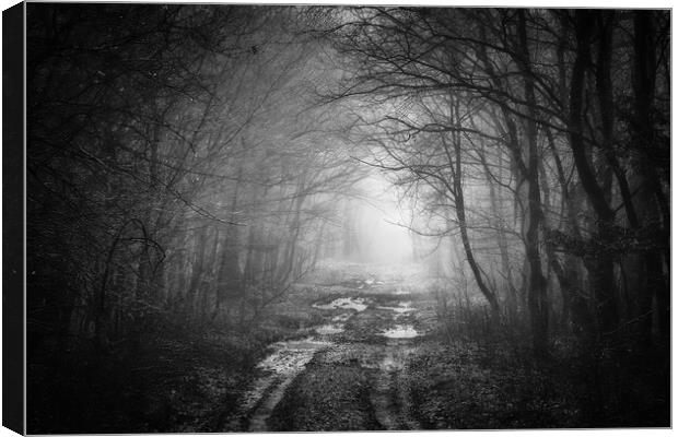 Road in a oak forest in autumn time in a foggy day Canvas Print by Arpad Radoczy