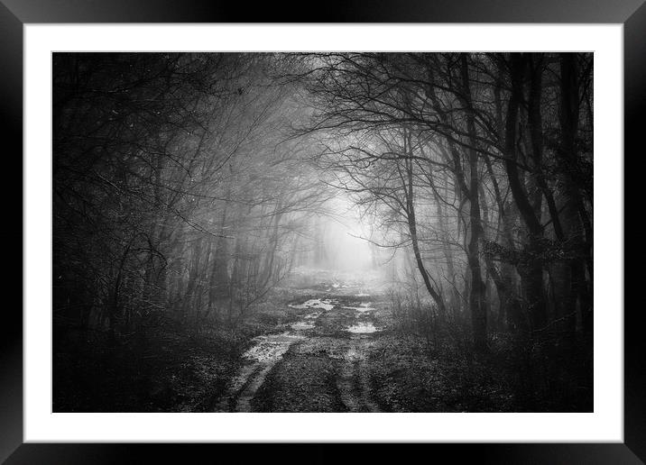Road in a oak forest in autumn time in a foggy day Framed Mounted Print by Arpad Radoczy