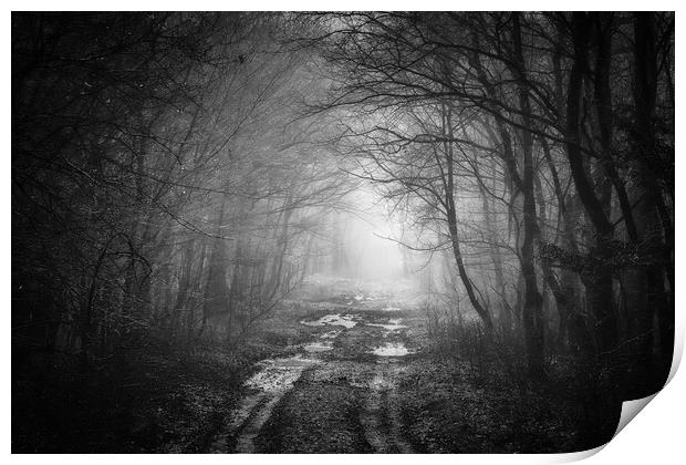 Road in a oak forest in autumn time in a foggy day Print by Arpad Radoczy