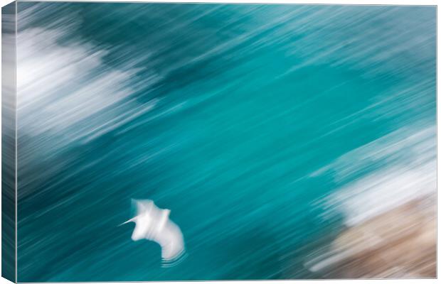 Abstract picture from a seagull bird flying over the water Canvas Print by Arpad Radoczy
