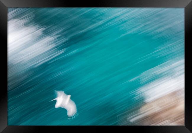 Abstract picture from a seagull bird flying over the water Framed Print by Arpad Radoczy