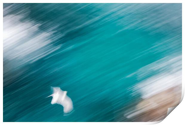 Abstract picture from a seagull bird flying over the water Print by Arpad Radoczy