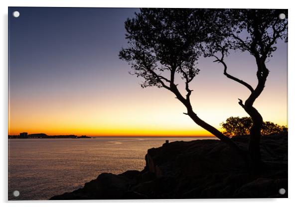 Sunrise scene with pine tree silhouette from Spani Acrylic by Arpad Radoczy